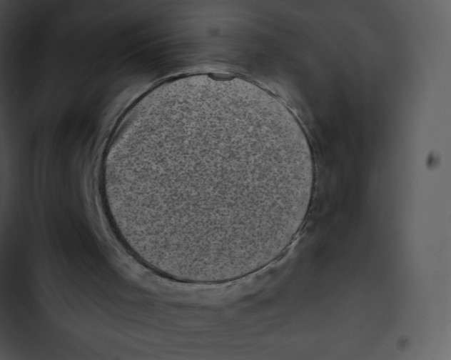 X0000102830001200809081207