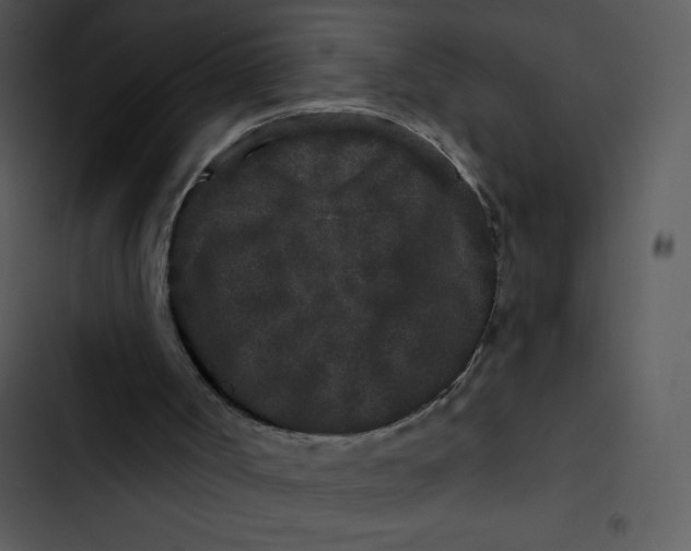 X0000102830002200809081207