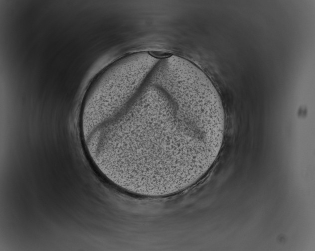 X0000102830004200809081207