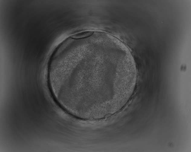 X0000102830005200809081207