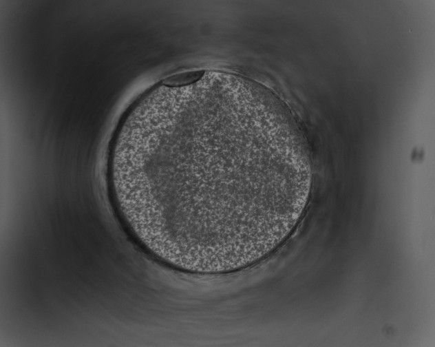 X0000102830006200809081207