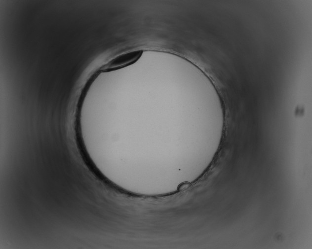 X0000102830007200809081207