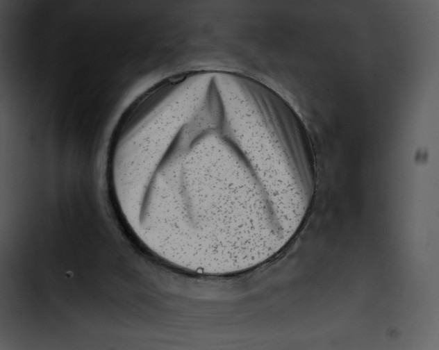 X0000102830008200809081207
