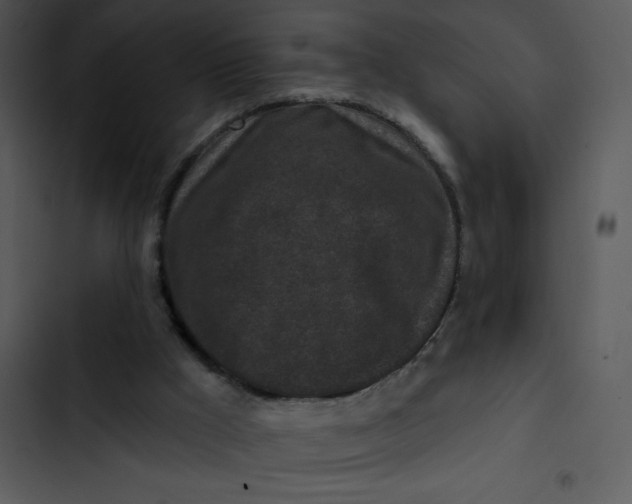 X0000102830009200809081207