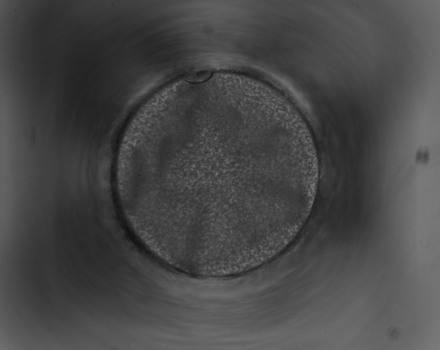 X0000102830010200809081206
