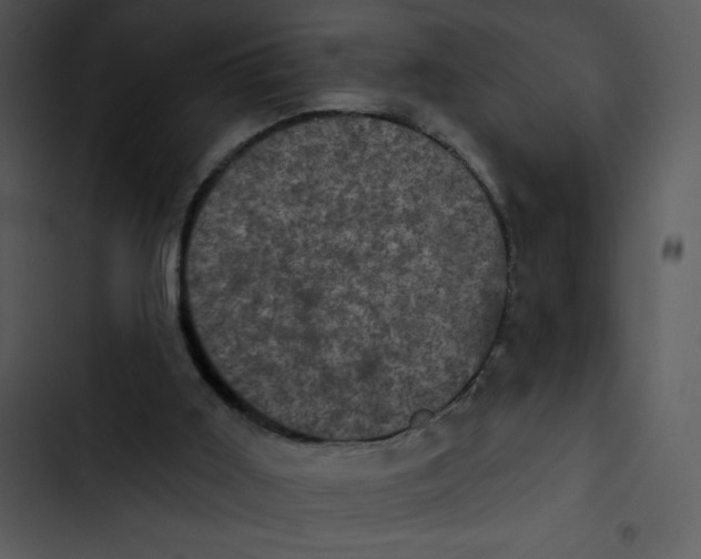 X0000102830011200809081206
