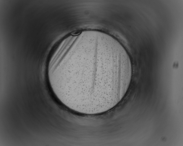 X0000102830012200809081206