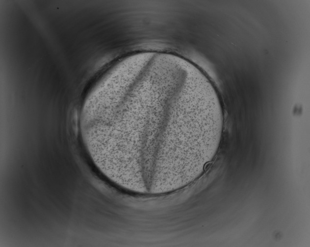 X0000102830013200809081206