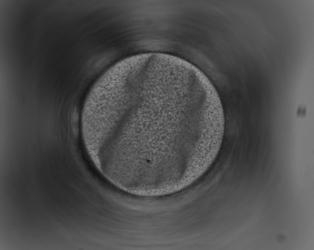 X0000102830014200809081206