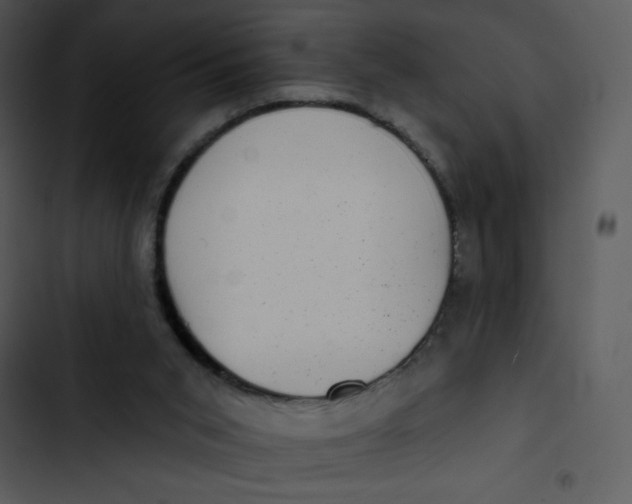 X0000102830015200809081206