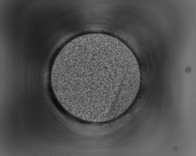 X0000102830016200809081206
