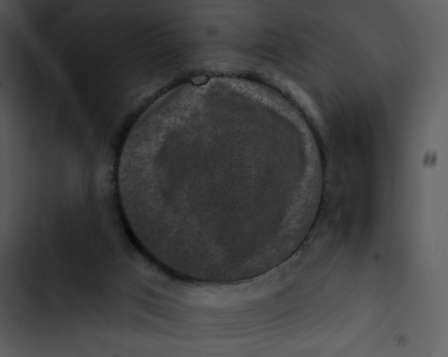 X0000102830017200809081206