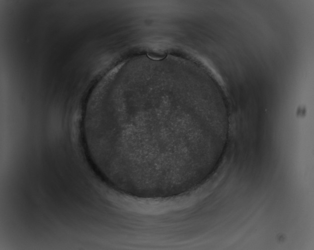 X0000102830018200809081206