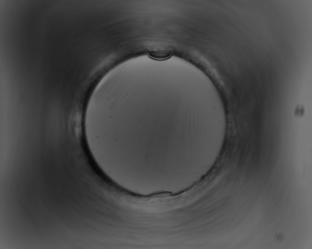X0000102830019200809081206