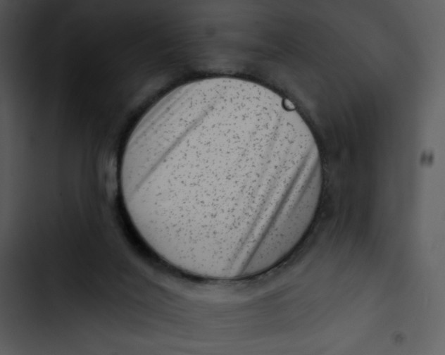 X0000102830020200809081206