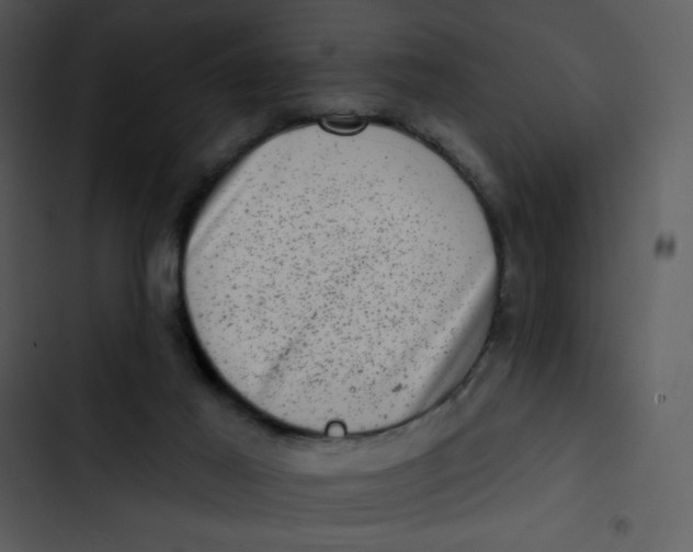X0000102830021200809081206