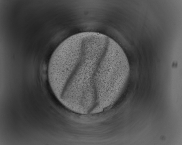 X0000102830022200809081206