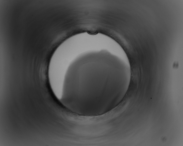 X0000102830023200809081206