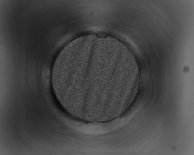 X0000102830024200809081206