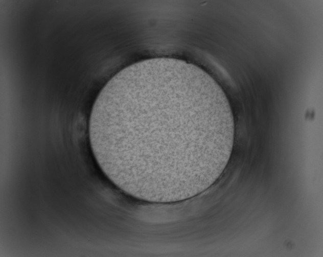 X0000102830025200809081206