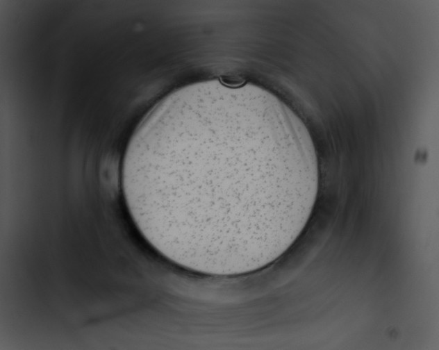 X0000102830028200809081206