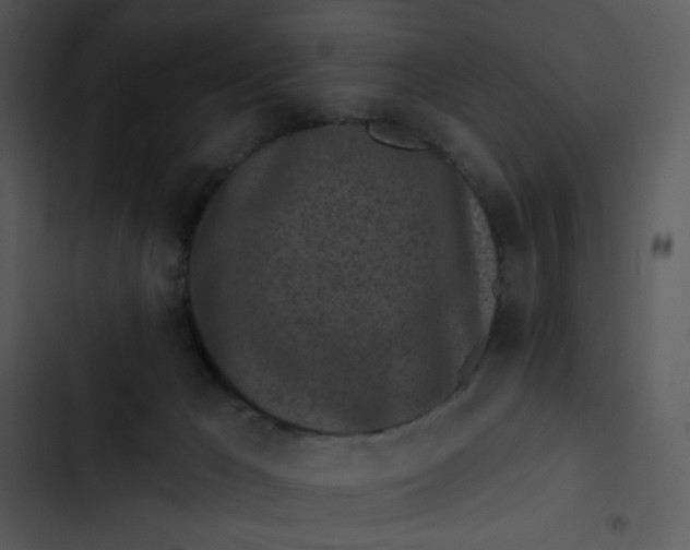 X0000102830029200809081206