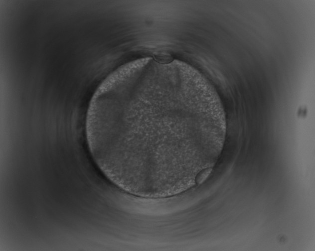 X0000102830030200809081206