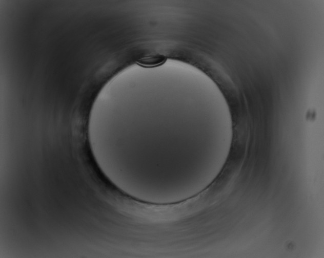 X0000102830031200809081206