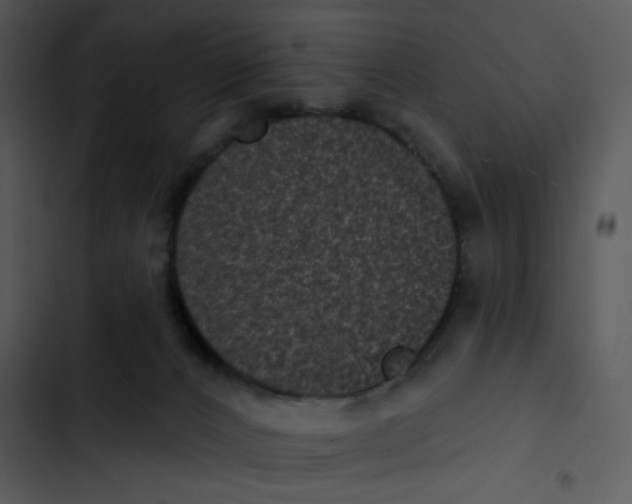 X0000102830032200809081206
