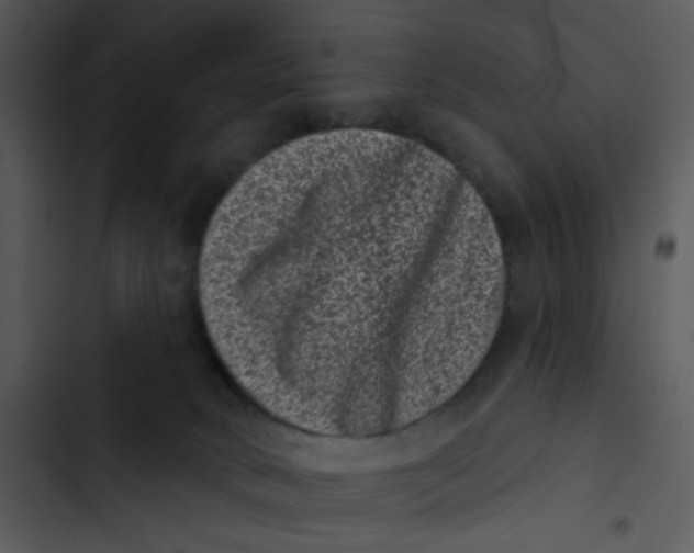 X0000102830034200809081206