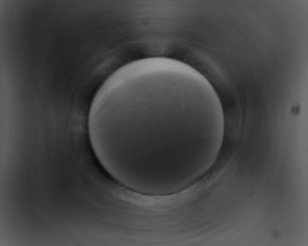 X0000102830035200809081206