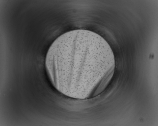 X0000102830036200809081206