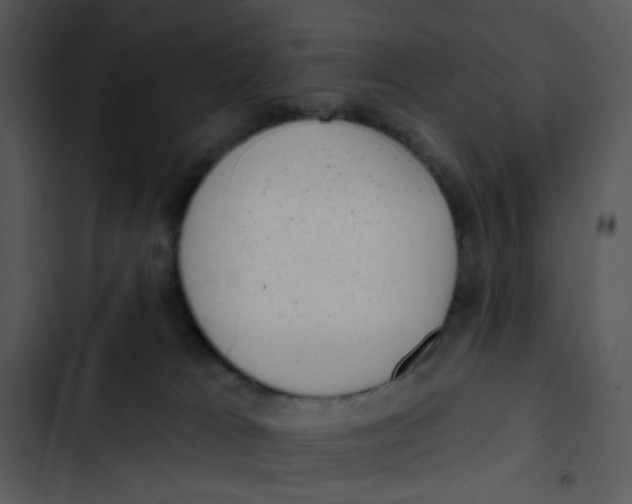 X0000102830037200809081206