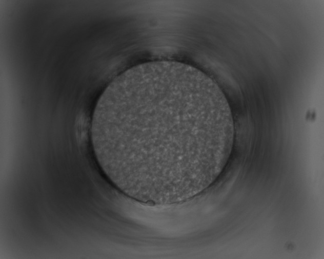 X0000102830038200809081206