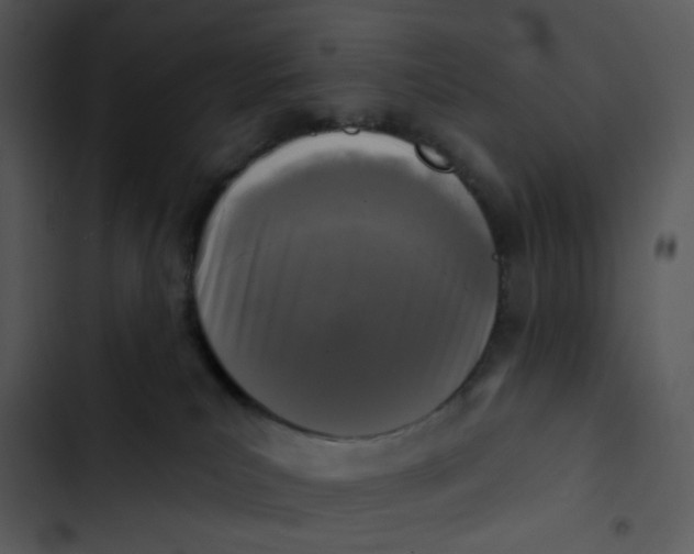 X0000102830039200809081206