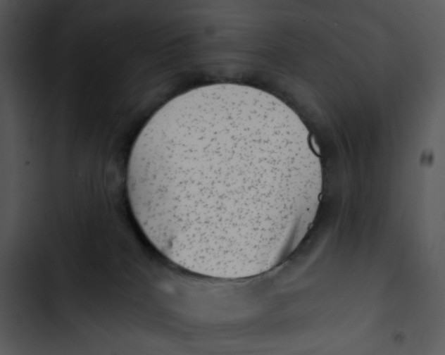 X0000102830040200809081206