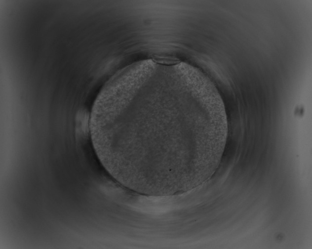 X0000102830041200809081206