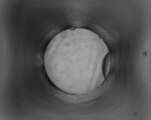 X0000102830043200809081206