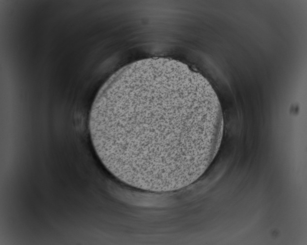 X0000102830044200809081206