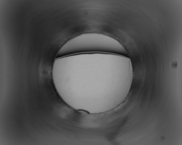 X0000102830045200809081206
