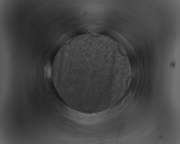 X0000102830046200809081206