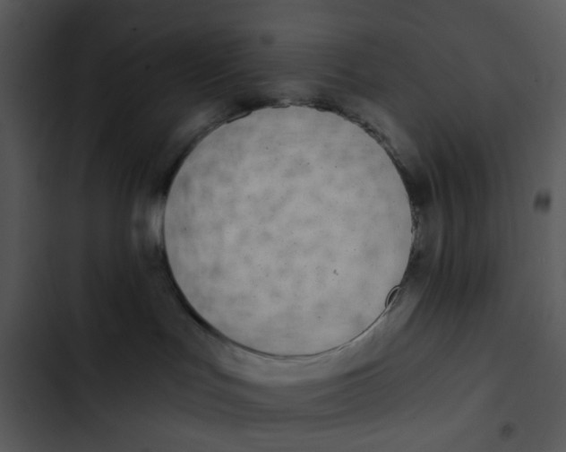 X0000102830047200809081206