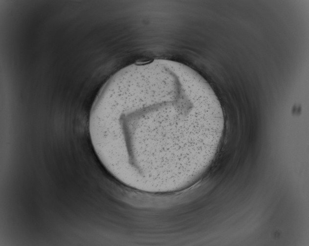 X0000102830048200809081206