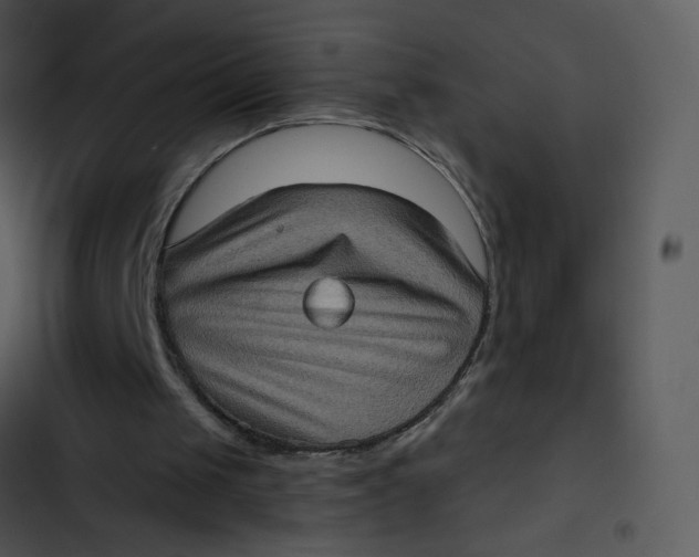 X0000102830049200809081205