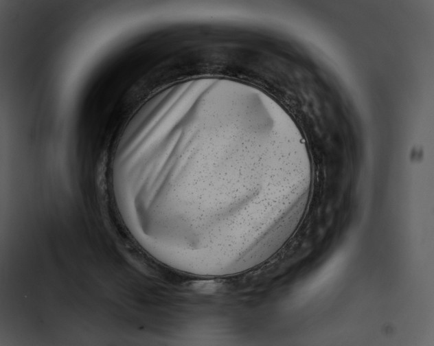 X0000102830050200809081205