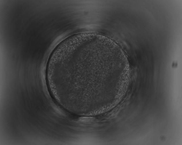 X0000102830051200809081205
