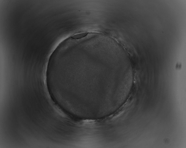 X0000102830052200809081205