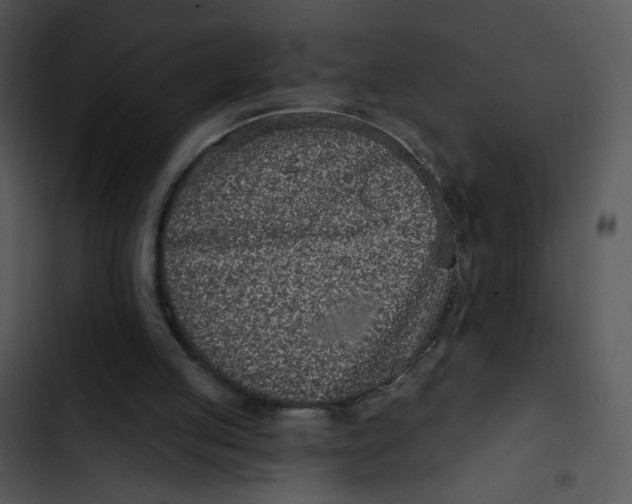 X0000102830053200809081205