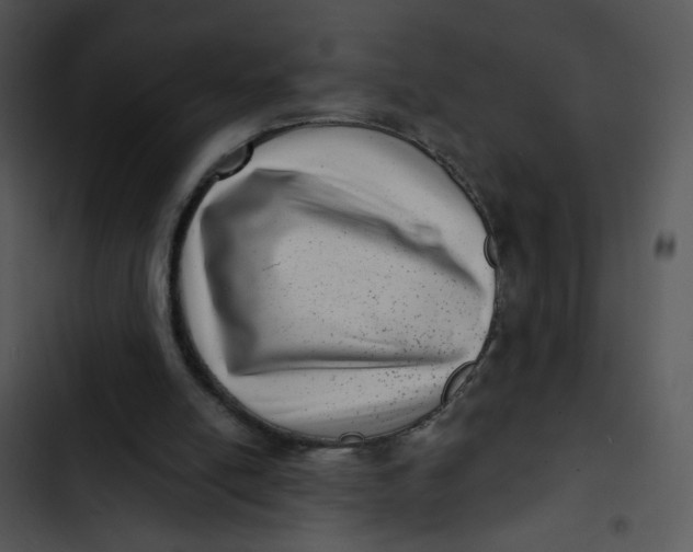 X0000102830054200809081205