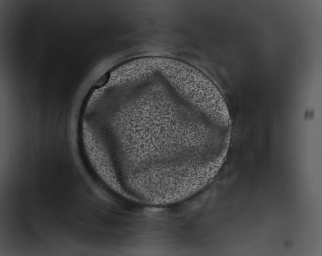 X0000102830055200809081205